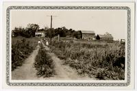 C.J. Buckingham Farm