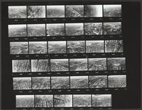 Aerial Views of Lawrence