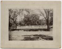 Squirrel Cage in Park