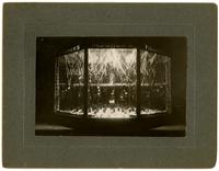 Fischer and Son Shoes, Window Display, 814 Massachusetts St.