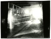 Blue Grass Dairy, Interior