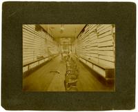 J. Fischer and Son Shoes, 814 Massachusetts St.