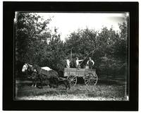 Spraying Fruit Trees (Possibly Walnut Ave. Fruit Farm)
