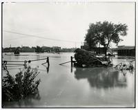 High water in north Lawrence looking south (1903 Flood)