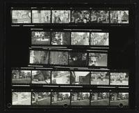 Art in the Park, 1977.