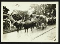 Prairie schooner pulled by oxen (75th Anniversary Historic Parade)