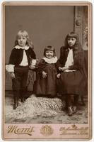 Portrait of three small children standing on a furry rug