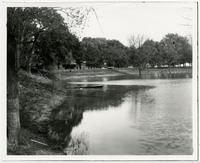 Lakeview- Looking Towards Buildings from Water