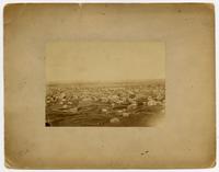 Lawrence View, Showing Central School and Prebytarian Church