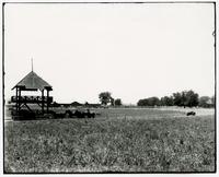 Bismark Grove- Field, Track, and Barn