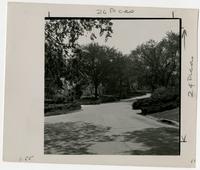 Residential Street, Lawrence
