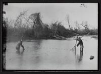 Two men seining (net fishing) in river