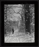 Man in snow covered woods area