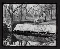Dam at Wells Park
