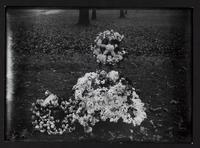 Grave with funeral flowers