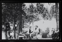 Group of people camping