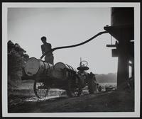 Drought 1955 - David Foster Hauling water in 1953.