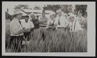 KSU extension service (L to R) L. E. Willoughby; Bernard Grosdidier; Deal Six; Melvin Wertzberger; Jim Springer; Charles Topping; Conrad Gastrock; Robert Schwanzle.