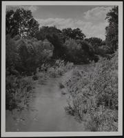 Weather - view of flooding Wakarusa from old gage ranch southeast of Lawrence.