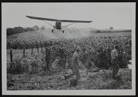 Aerial spraying of crops.