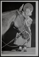 Oskaloosa Horse Show - Saralee Pottorf.
