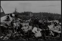 Seared Wreckage of Plane. Remains of Pacific Western DC-3 crash at Port Hardy, BC that killed 14.