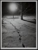 Weather - snow scenes - Night - at 1133 Emory drive.