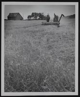 Cecil Hagerman - combining barley near Vinland.
