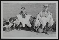 Duck Hunting - George Hulteen and Steele Becker, (right) with snow geese killed on Kansas River.