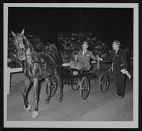Lawrence Horse Show "Swanee's Image" wins junior fine harness class. Driver - Lee Fahey.