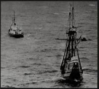 Mayflower II towed by coast guard.