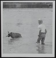 unidentified boy wading in river during low water.