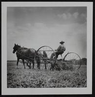 Wakarusa Valley - Old hay rake with horses.