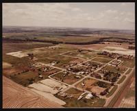 ku-nicodemus:3273-80