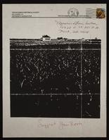 ku-nicodemus:4645-154