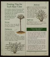 ku-nicodemus:5823-11