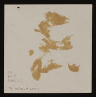 ku-nicodemus:6113-20