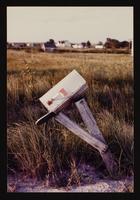 ku-nicodemus:6136-11