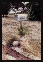 ku-nicodemus:6136-13