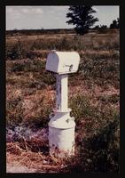 ku-nicodemus:6136-14