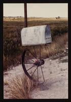 ku-nicodemus:6136-16