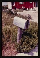 ku-nicodemus:6136-18