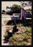 ku-nicodemus:6136-21