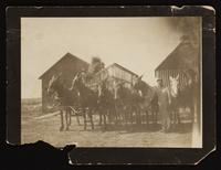 ku-nicodemus:6202-13