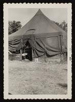 ku-nicodemus:6202-20