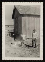 ku-nicodemus:6202-21