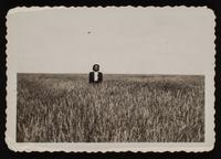 ku-nicodemus:7297-27