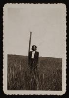 ku-nicodemus:7297-30