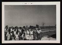 ku-nicodemus:7332-44