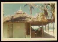 ku-nicodemus:7498-13